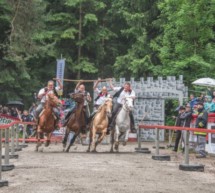 Die Jagd auf die Standarte