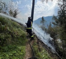 Wald in Flammen