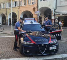 Freigänger als Autoknacker