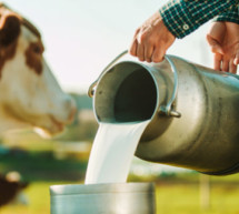 Zertifizierte Milch