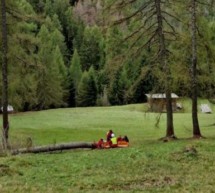 Von Baum getroffen