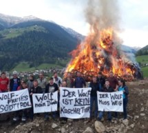 Feuer gegen den Wolf