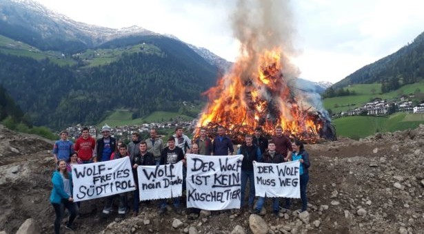 Feuer gegen den Wolf