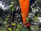 Gegen Baum geprallt