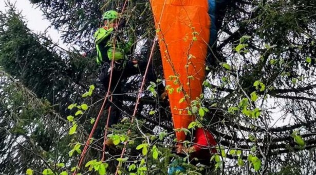 Gegen Baum geprallt