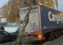 Lkw reißt Baum um