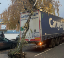 Lkw reißt Baum um