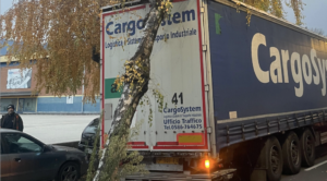 Lkw reißt Baum um