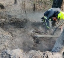 Heiße Asche im Wald