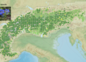 Der Online-Atlas