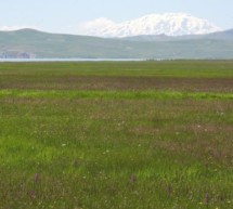 Reise in die Osttürkei