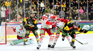 Wölfe siegen im Derby