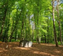 „Der Wald gehört den Bürgern“  