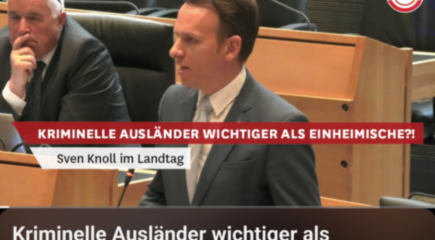 Der AfD-Sven