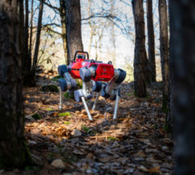 Roboter im Wald