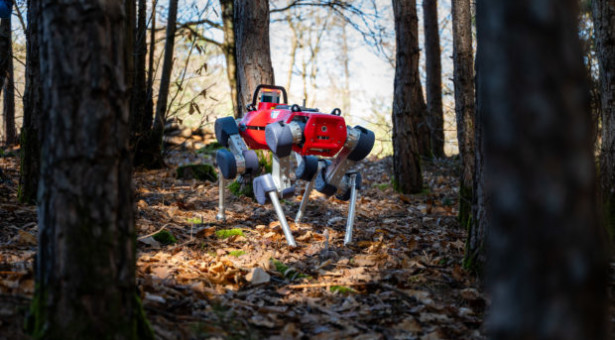 Roboter im Wald