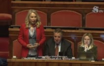 Chaos im Senat