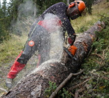 „Der Wald geht uns alle an“