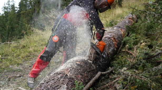 „Der Wald geht uns alle an“